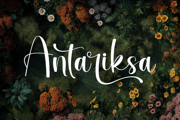 Antariksa Font Review: A Graceful Script for Modern Brand Identity