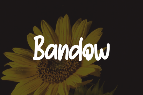 Bandow Typeface: Elevating Handmade Brand Identity