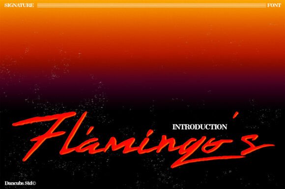 Flamingo s Review: A Designer’s Take on Script Amp