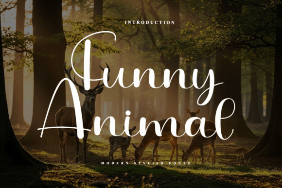 Funny Animal: A Handwritten Typeface Review for Brand Designers