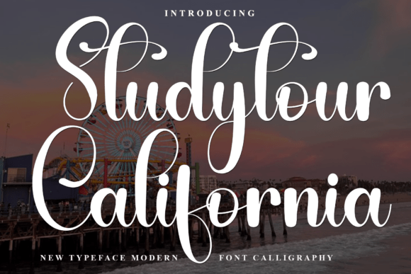 Studytour California: A Friendly Script Font for Modern Web Design