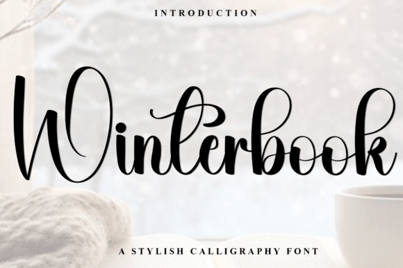 Winterbook Typeface Review: A Warm, Playful Font for Handmade Brands
